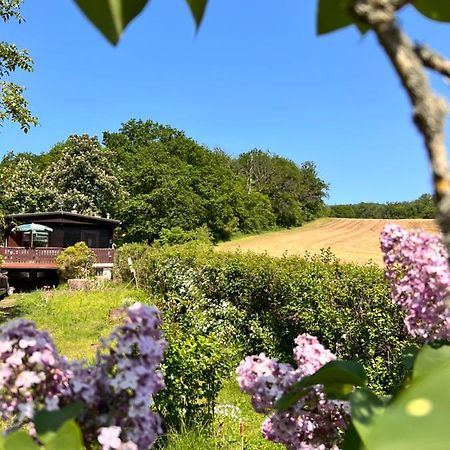 Ferienhaus Zittertal Neustadt Harz Haus I Villa Harztor Dış mekan fotoğraf