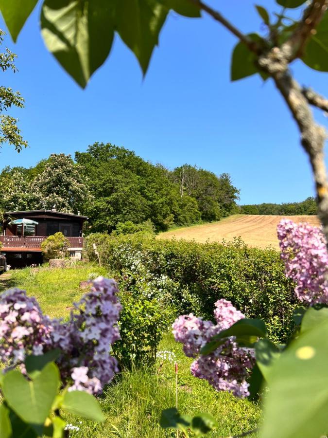 Ferienhaus Zittertal Neustadt Harz Haus I Villa Harztor Dış mekan fotoğraf